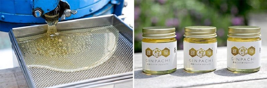 Produkce medu včelstev Ginzy se od založení projektu v roce 2006 zněkolikanásobila